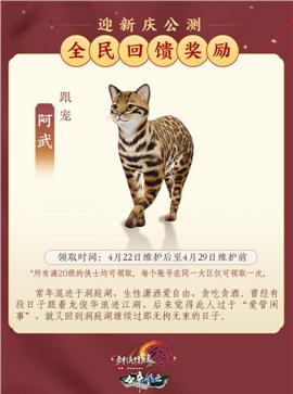 天龙八部私服宠
